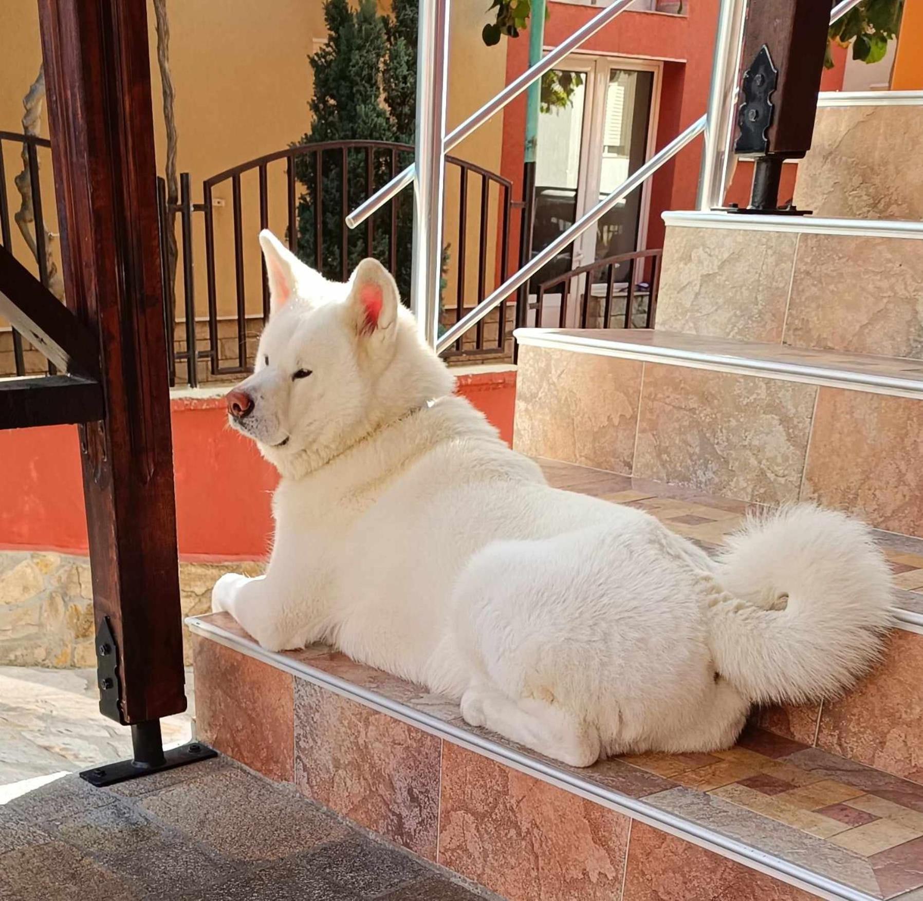 виктория Hotel Sozopol